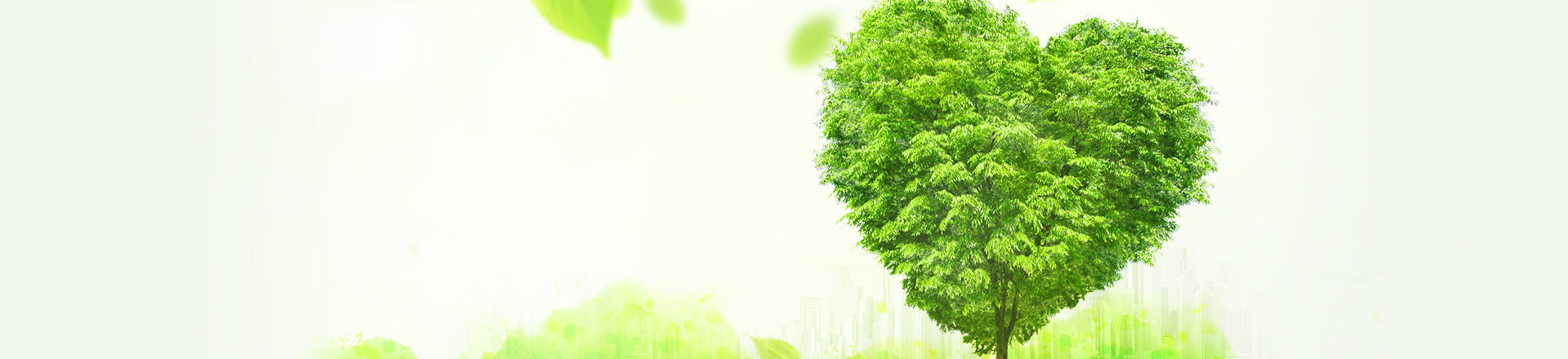 About heyouseeds