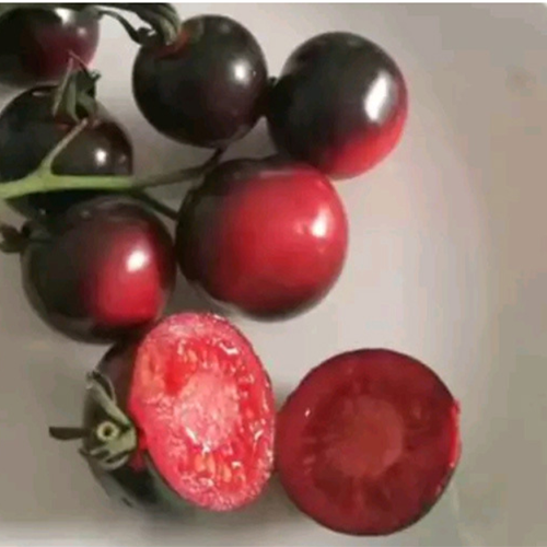 pomato plant seeds Hybrid F1 Black Pearl Pomato Seeds – HeYou Seeds