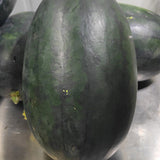Hybrid-F1-Taiwan-Black-Beauty-Watermelon-Seeds