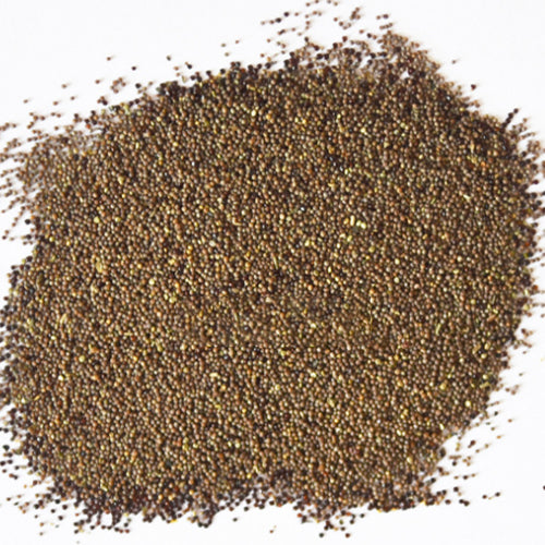plant petunia seeds Petunia Hybrida & Petunia Seeds – HeYou Seeds