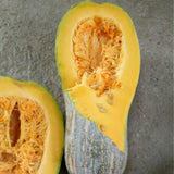 Pumpkin-Squash-Seeds