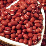 Red beans Seeds