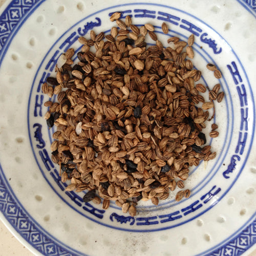 guelder rose seeds Viburnum Opulus & Guelder Rose Seeds – HeYou Seeds