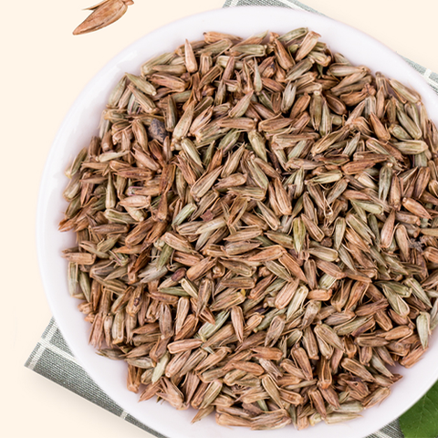 Achyranthes bidentata 