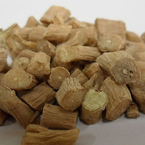 Achyranthes bidentata 