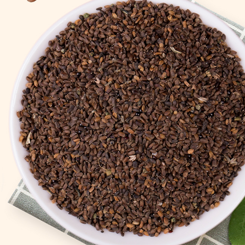 Agastache rugosa Seeds