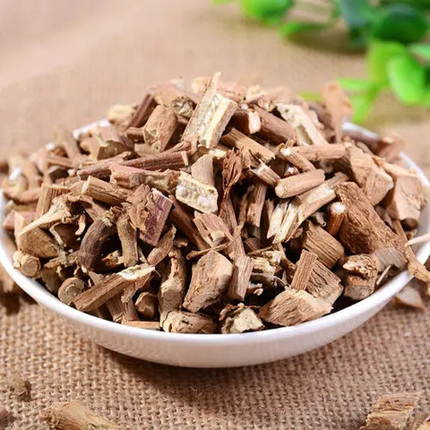 Agastache rugosa Seeds