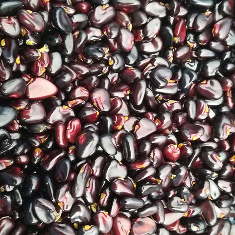 Akebia quinata & Chocolate vine Seeds