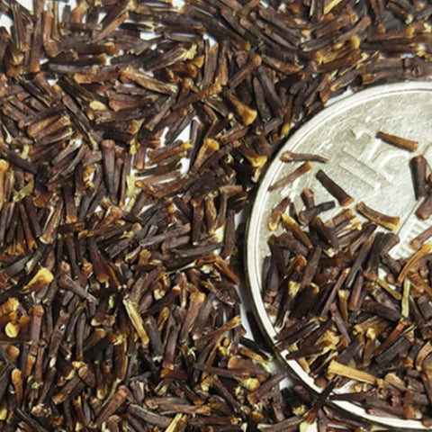 Ammobium Alatum Seeds