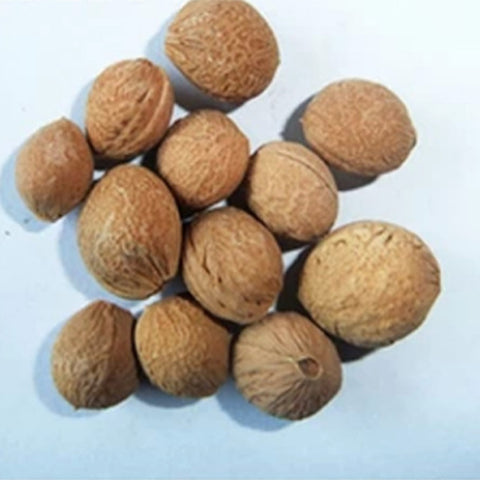 Amygdalus-triloba-Flowering-plum-Seeds