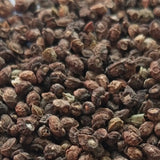 Anchusa Capensis Seeds