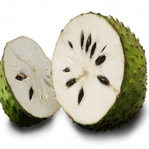 Annona muricata & Soursop Seeds