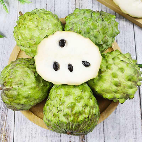 Annona squamosa & Sugar apple Seeds