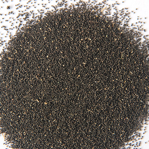 Antirrhinum Majus & Snapdragon Seeds