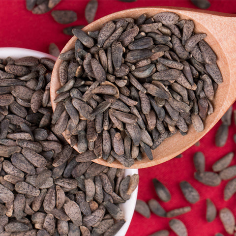 Arctium lappa & Burdock Seeds