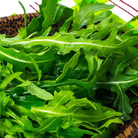 Arugula & Rocket Seeds
