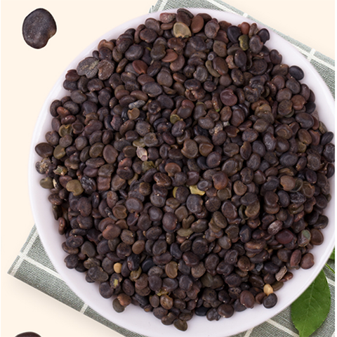 Astragalus membranaceus seeds