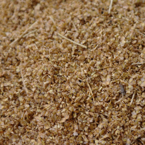 Betula alnoides & West Hua Seeds