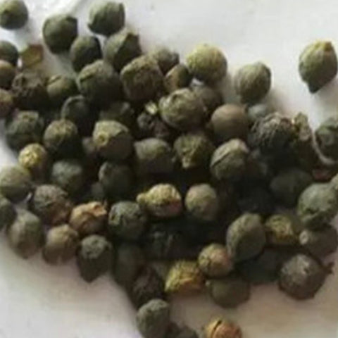 Big Leaf Malabar Spinach Seeds