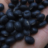 Black-Bean-Seeds