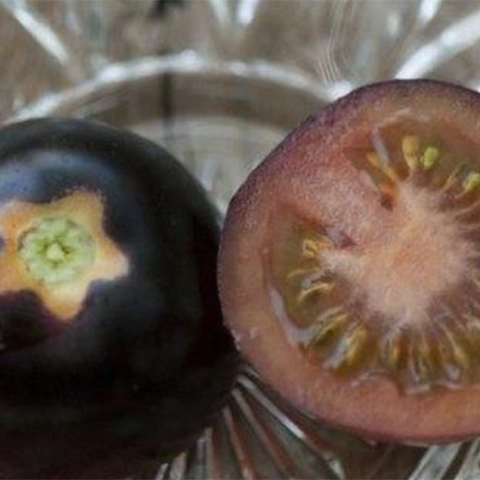Black tomato seeds