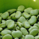 Broad-Bean-Seeds