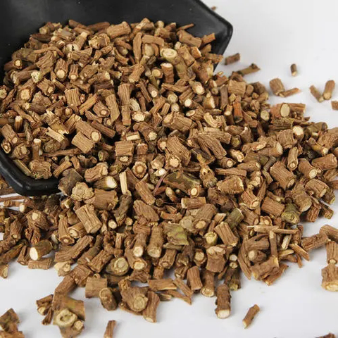 Bupleurum chinense & Bupleurum Seeds