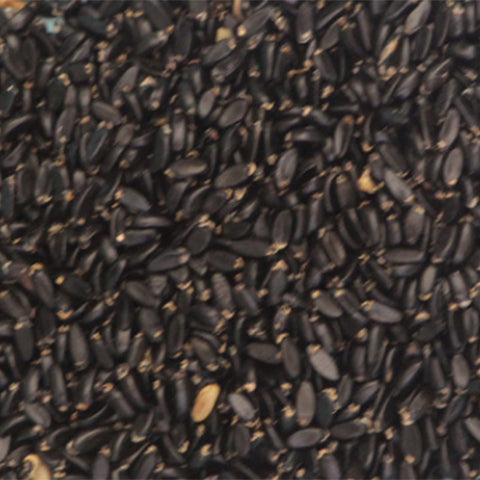 Buxus microphylla & Japanese boxwood Seeds