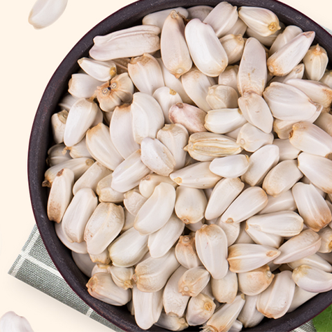 Carthamus tinctorius Seeds