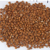 Cassia bakeriana & Citiwood Seeds