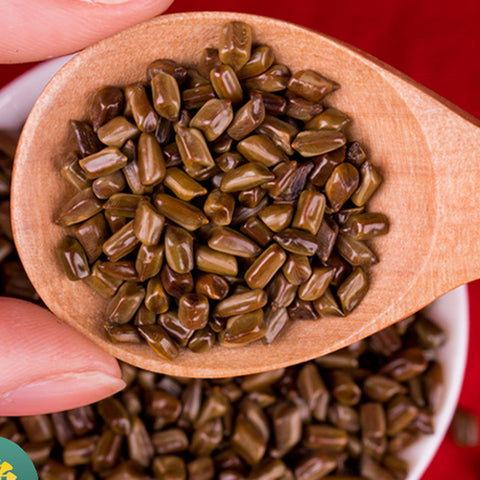 Cassia obtusifoliaL & Chinese senna Seeds
