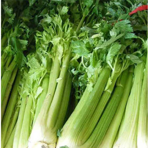 Celery Seeds