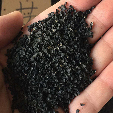 Chives-Green-Onion-Seeds