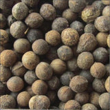 Cinnamomum camphora & camphor tree seeds
