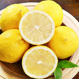Citrus limon & Lemon Seeds