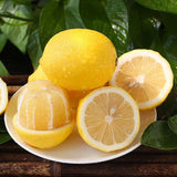 Citrus limon & Lemon Seeds