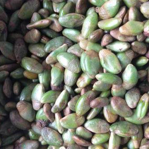 Clausena-lansium-Wampee-Seeds