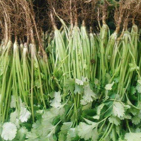 Coriander & Parsley Seeds