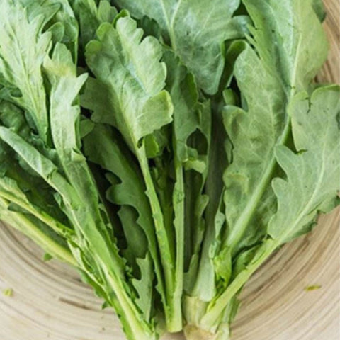 Crown Daisy & Chrysanthemum Coronarium Seeds