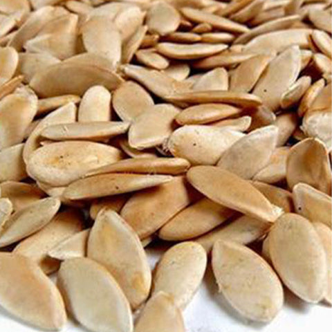 Cucumis-Melo-Green-Muskmelon-Seeds