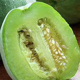 Cucumis-Melo-Green-Muskmelon-Seeds