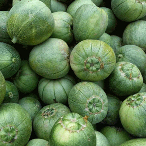 Cucumis-Melo-Green-Muskmelon-Seeds
