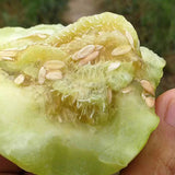 Cucumis-Melo-White-Muskmelon-Seeds