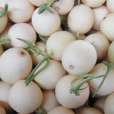 Cucumis-Melo-White-Muskmelon-Seeds