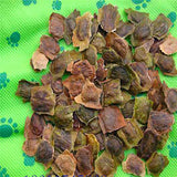 Dalbergia-odorifera-Fragrant-rosewood-Seeds