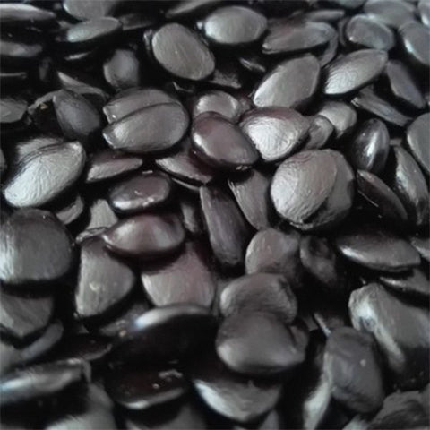 Decaisnea insignis & Blue sausage fruit Seeds