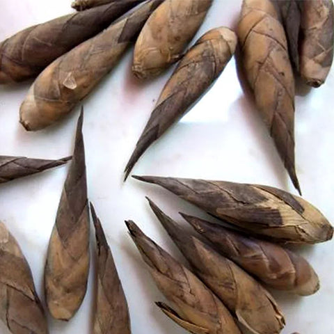 Dendrocalamus sinicus & Diant dragon bamboo Seeds