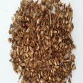 Dendrocalamus yunnanicus & Yunnanensis Seeds