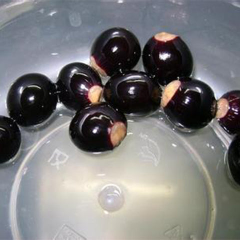 Dimocarpus-longan-longan-Seeds