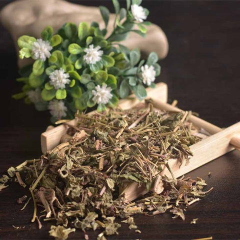 Duchesnea-Indica-Indian-Mockstrawberry-Seeds